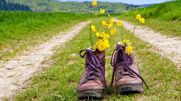 Wanderwoche im Bayerischen Wald